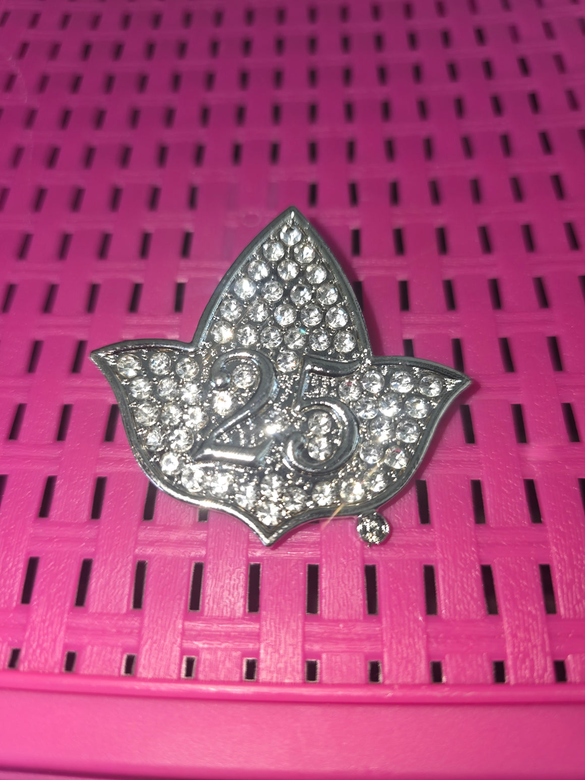 AKA Silver Star Ivy Brooch