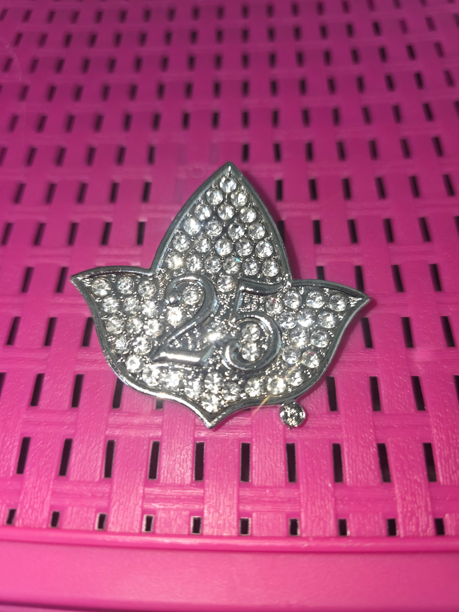 AKA Silver Star Ivy Brooch