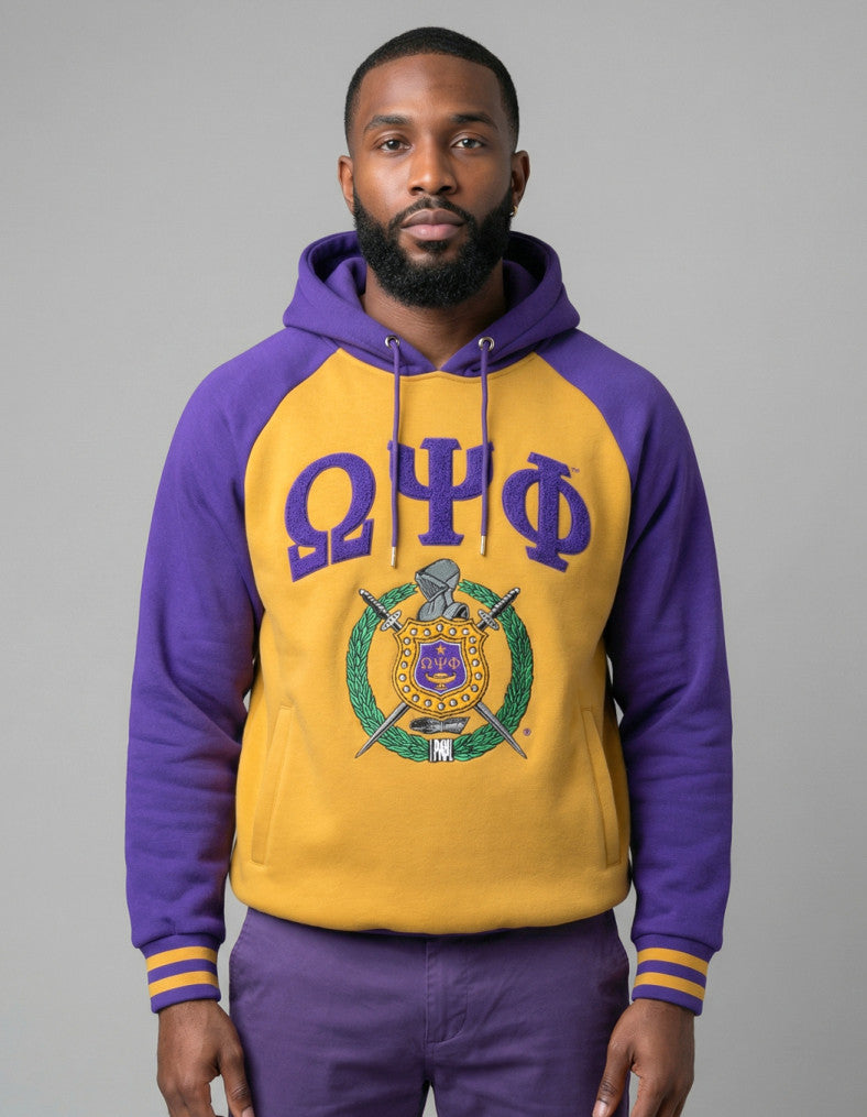 OMEGA TWO-TONED PULLOVER HOODIE