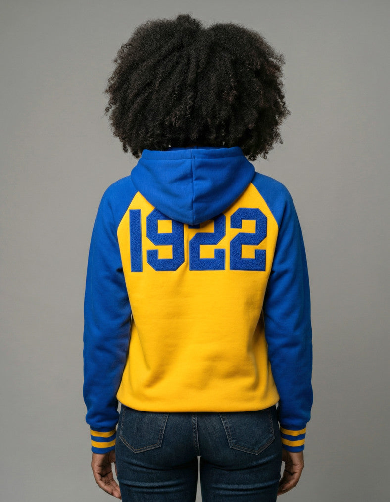 S G RHO TWO-TONED PULLOVER HOODIE