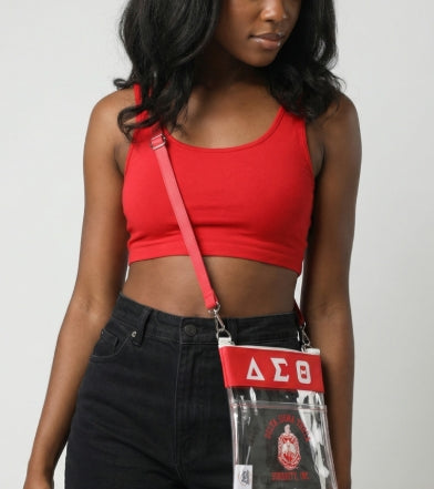 DELTA CLEAR CROSS BODY BAG