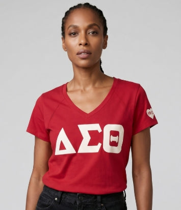 NEW DELTA V NECK TEE
