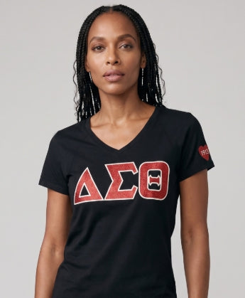 NEW DELTA V NECK TEE