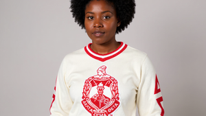 Delta V Neck Sweater