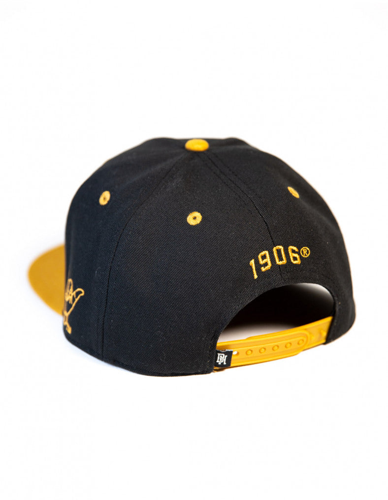 ALPHA SNAPBACK
