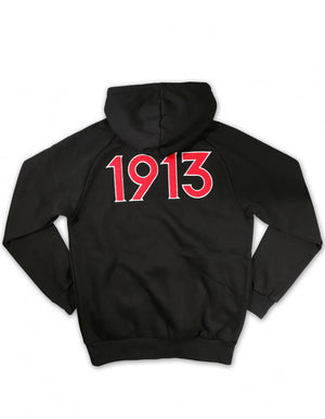 DST PULLOVER HOODIE