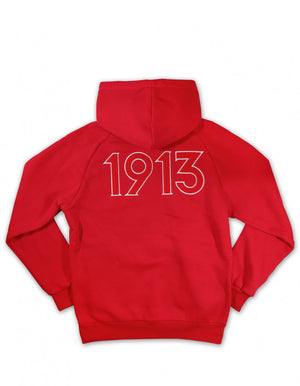 DST PULLOVER HOODIE