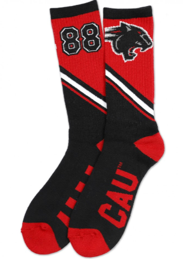 Clark Atlanta Socks