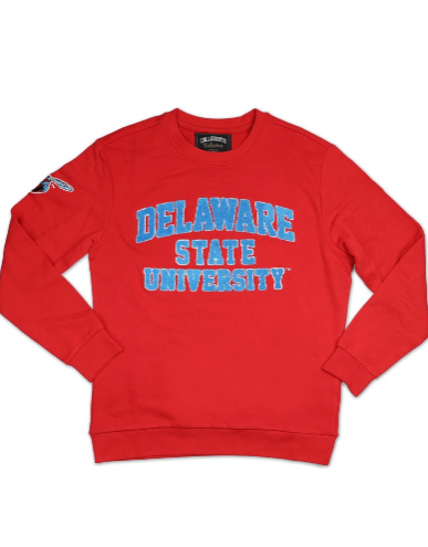 Del State Chenille Crewneck