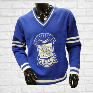 SIGMA CHENILLE V NECK SWEATER