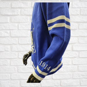 SIGMA CHENILLE V NECK SWEATER
