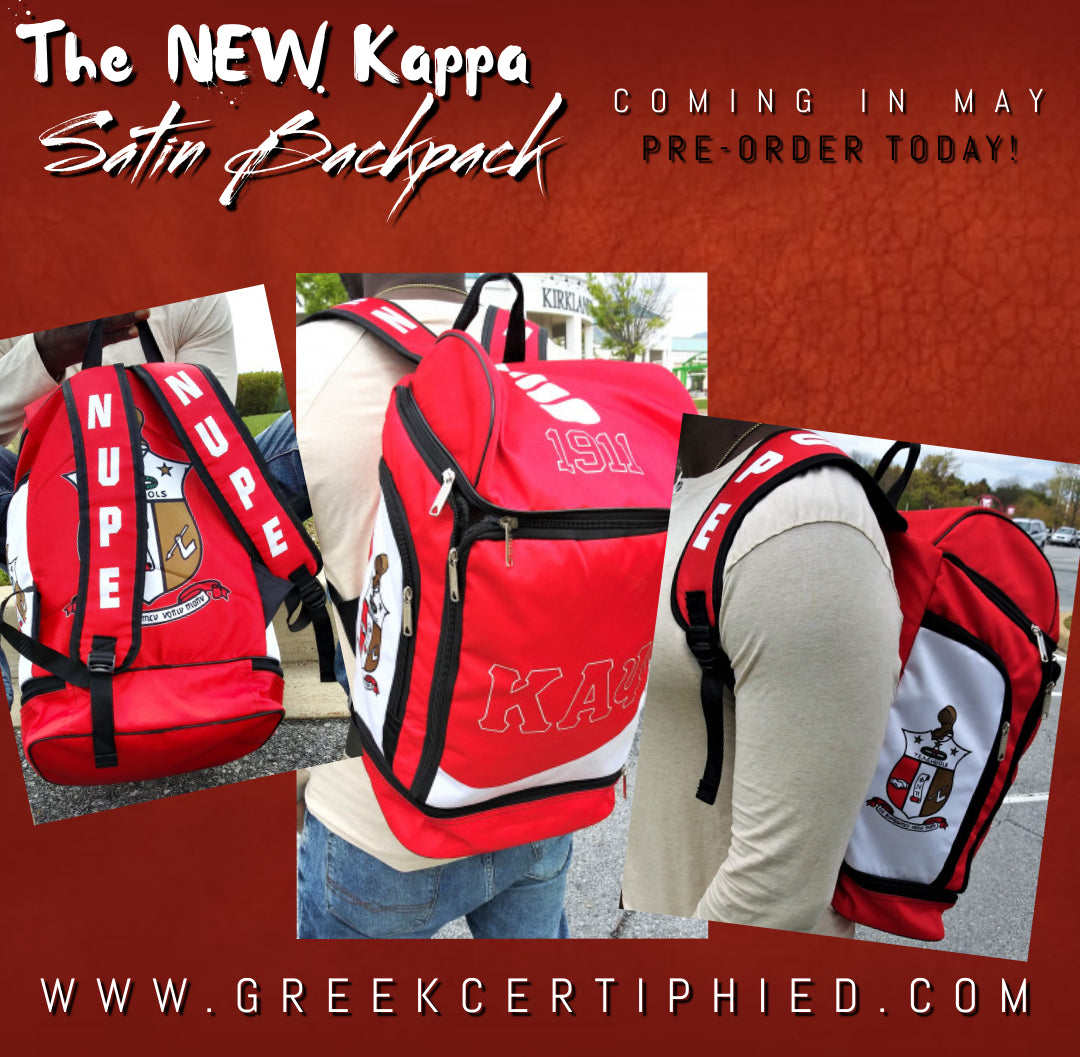 NEW NUPE Satin Backpack